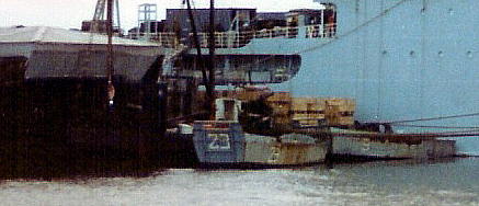 Foto de las E.D.P.V. "9" y "23" en Puerto Argentino (1982) - Fuente: Alfredo Lo Balbo