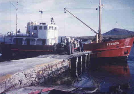 Foto del Forrest en las Malvinas- Fuente: Dunnose Head Farm