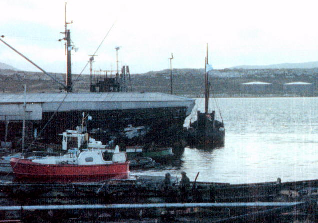 Foto de la Penélope en las Islas Malvinas - Fuente: Carlos S. Vega