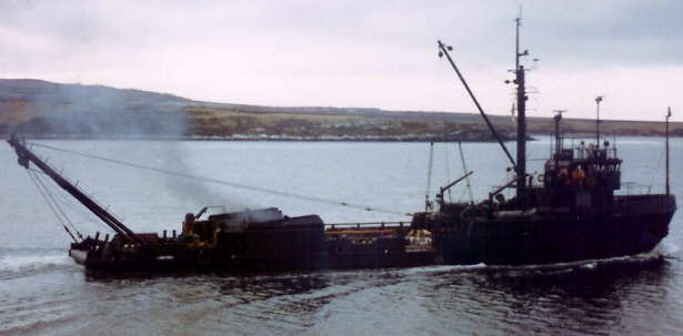 Foto del Yehu&iacute;n en las Malvinas - Fuente: Andy Loveley