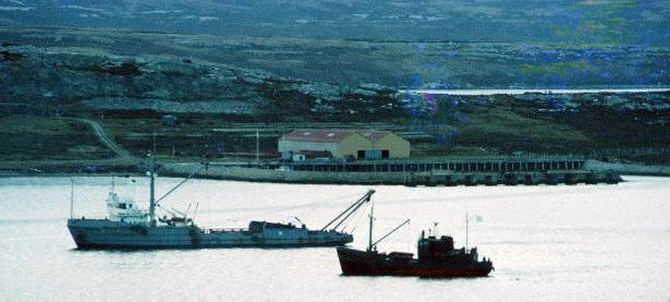 Foto del Yehu&iacute;n y el Forrest en la isla Soledad - Fuente: Peter Clement