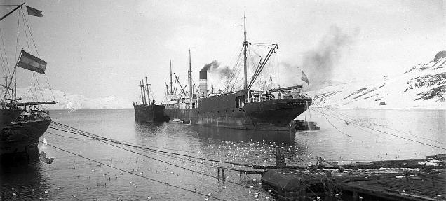Foto del buque factoría argentino E. Tornquist en la isla San Pedro - Fuente: Stefan Heijtz