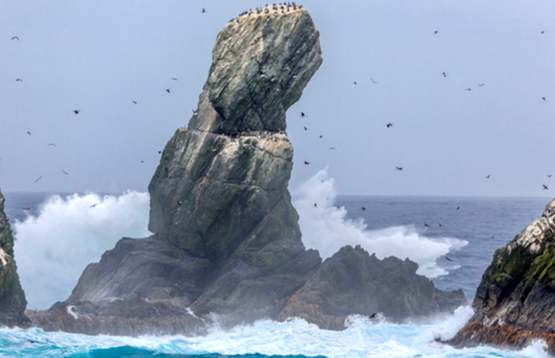 Foto del grupo norte de las rocas Cormorán - Fuente: Frank Tschöpe