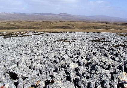 Foto de un río de piedras típico de las Malvinas - Fuente: Keith Padgett