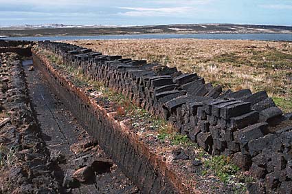 Foto de la extracción de turba en las Malvinas - Fuente: Fabrice Bettex