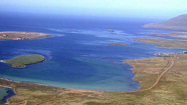Panorama de Bahía Fox (Isla Gran Malvina) - Fuente: Adrian Rinehart-Balfe