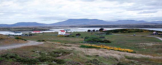 Foto de Darwin - Fuente: Fabrice Bettex