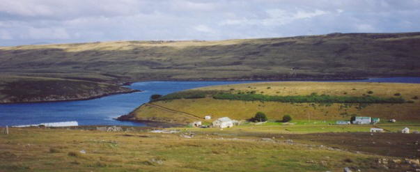 Foto de Puerto San Carlos - Fuente: Lyubomir Ivanov