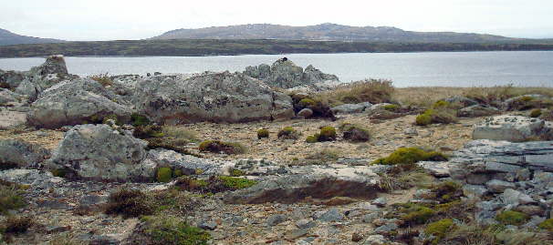 Foto de la costa norte de la península Camber en diciembre 2008 (isla Soledad) - Fuente: Claudio Guida
