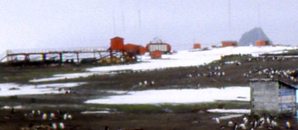 Foto de la isla Morrell, del Grupo Thule del Sur (Islas Sandwich del Sur)- Fuente: Carlos Court Lucero