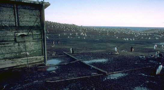 Foto del refugio Teniente Esquivel de la isla Morrell - Fuente: George Fremin III